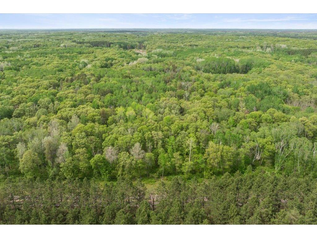 15069 County Rd 109 Mission Twp MN 56465 - Upper Mission 7108839 image7