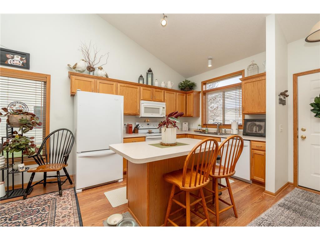 1507 Dublin Court Shakopee MN 55379 7055796 image4