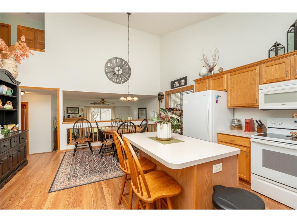 1507 Dublin Court Shakopee MN 55379 7055796 image6