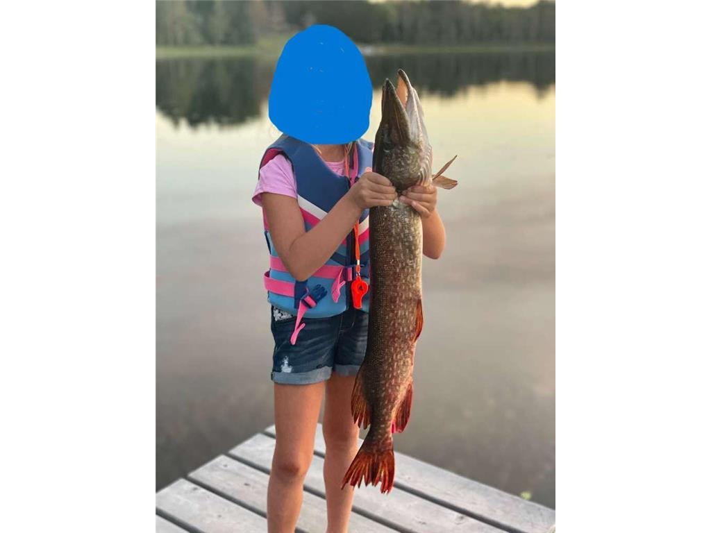 15075 S Lost Lake Road Wascott Twp WI 54838 - Snipe 7001326 image49