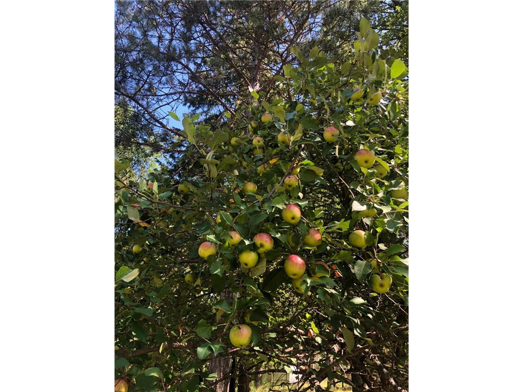 15075 S Lost Lake Road Wascott Twp WI 54838 - Snipe 7001326 image52