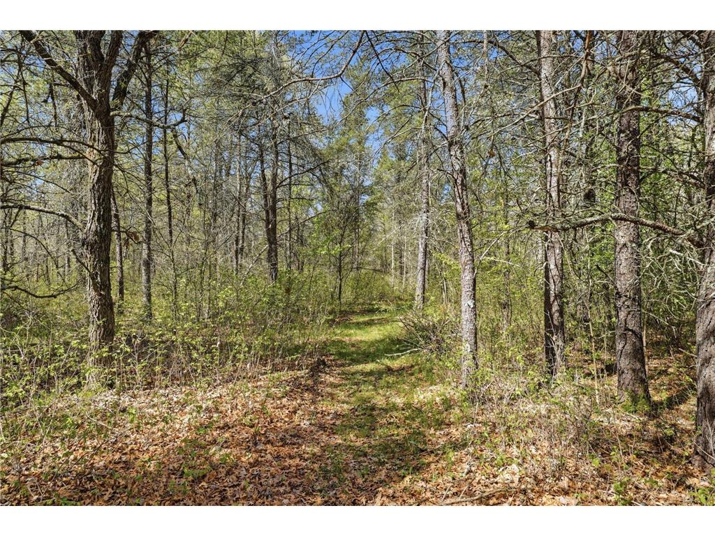 15077 Skog Road Grantsburg WI 54840 7080110 image24
