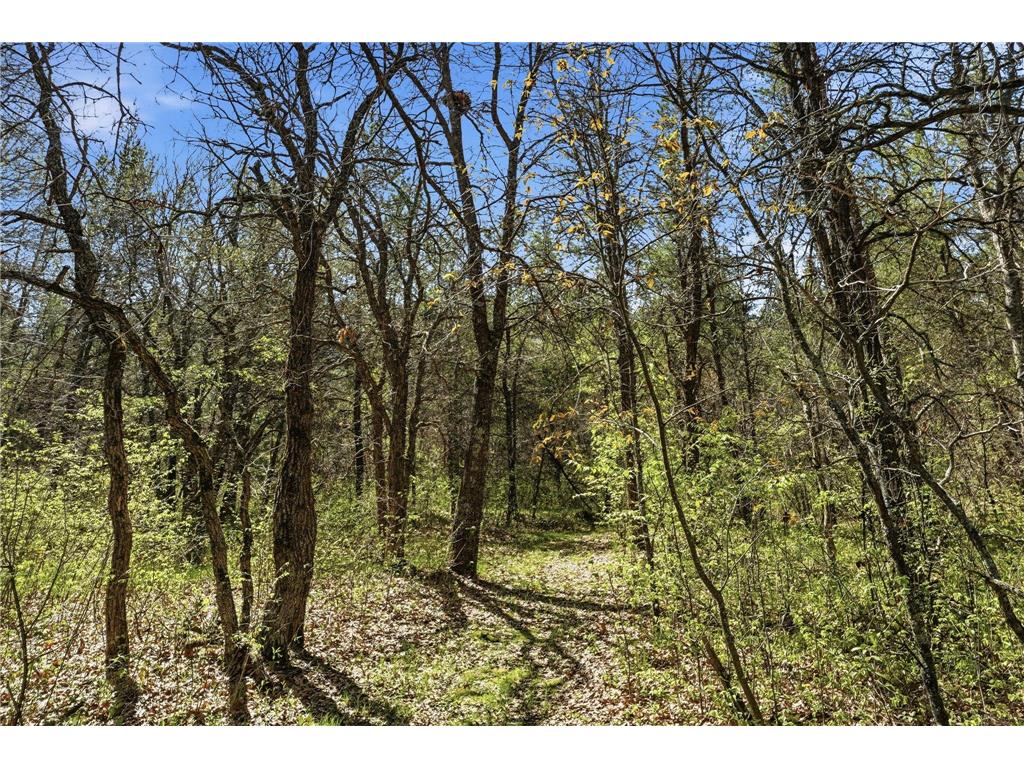 15077 Skog Road Grantsburg WI 54840 7080110 image25