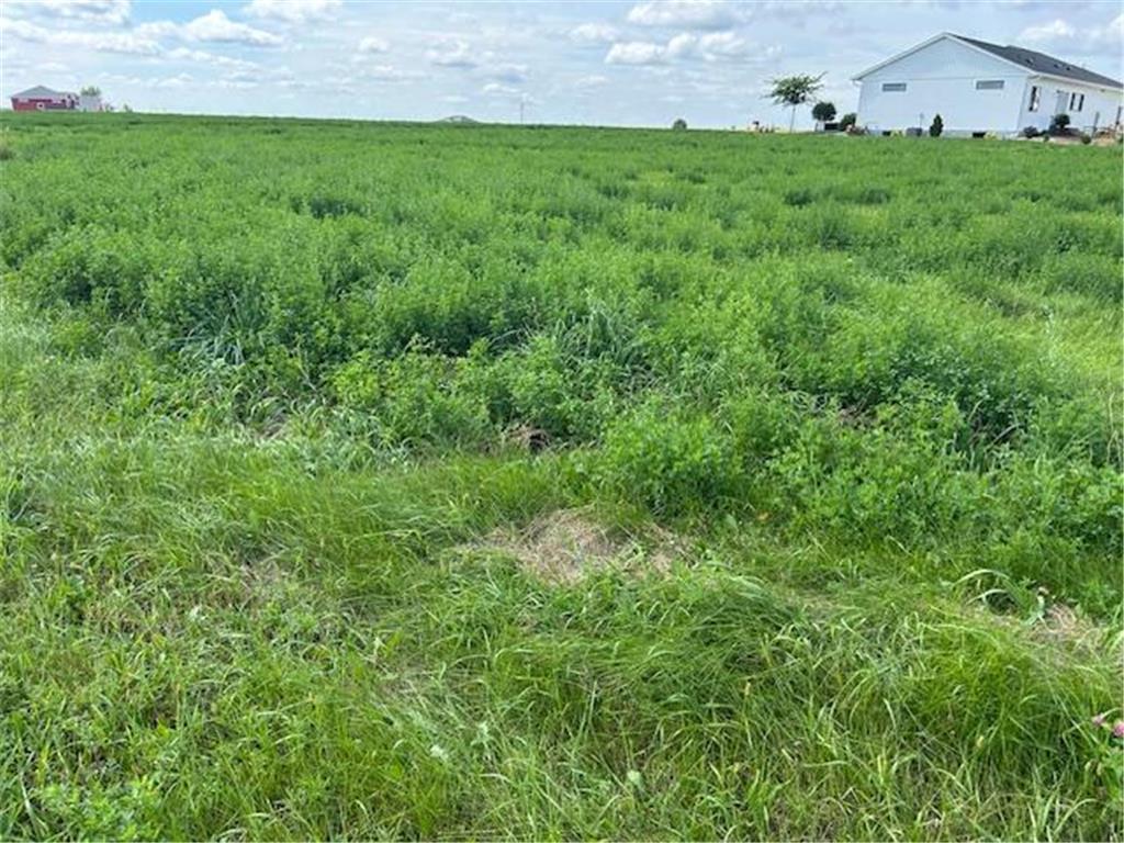 1508 Diamond Drive Marshall MN 56258 6779843 image1