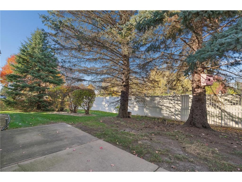 15081 December Way Rosemount MN 55068 7033703 image31