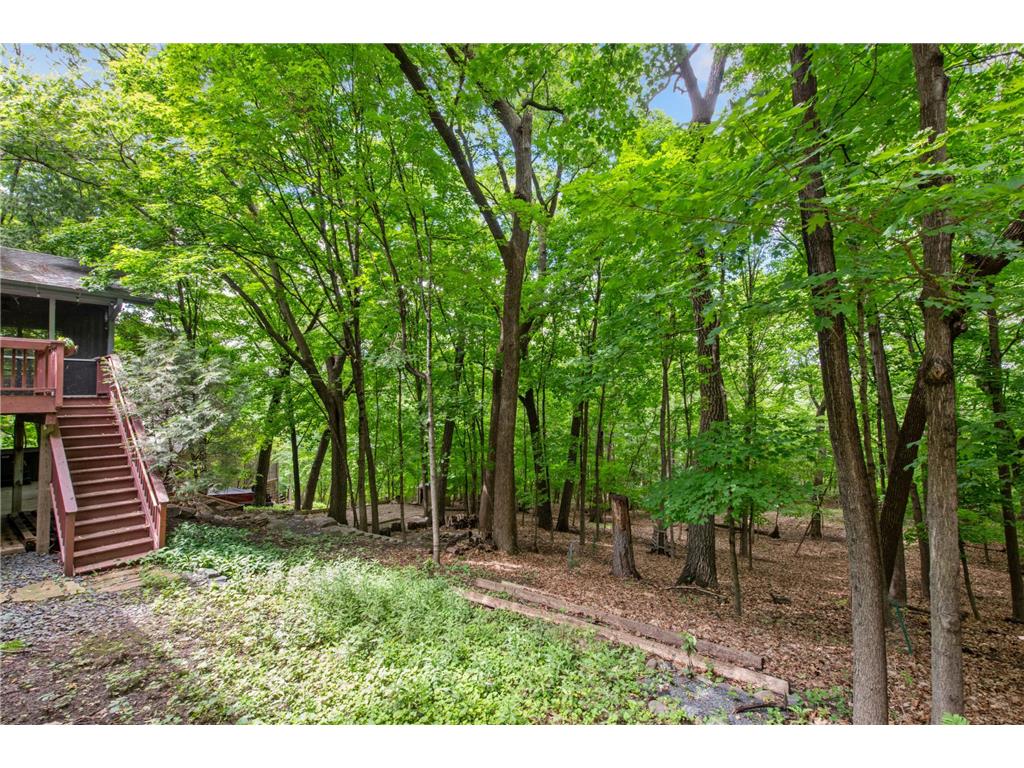 151 Choctaw Circle Chanhassen MN 55317 - Lotus Lake 7095761 image42
