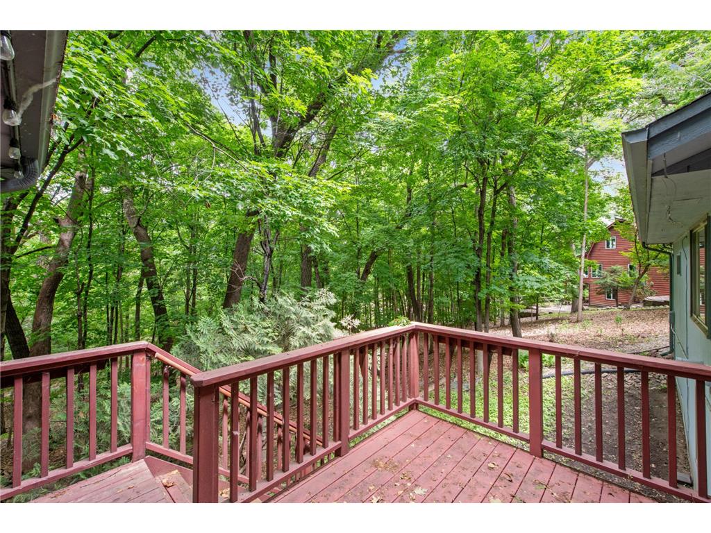 151 Choctaw Circle Chanhassen MN 55317 - Lotus Lake 7095761 image43