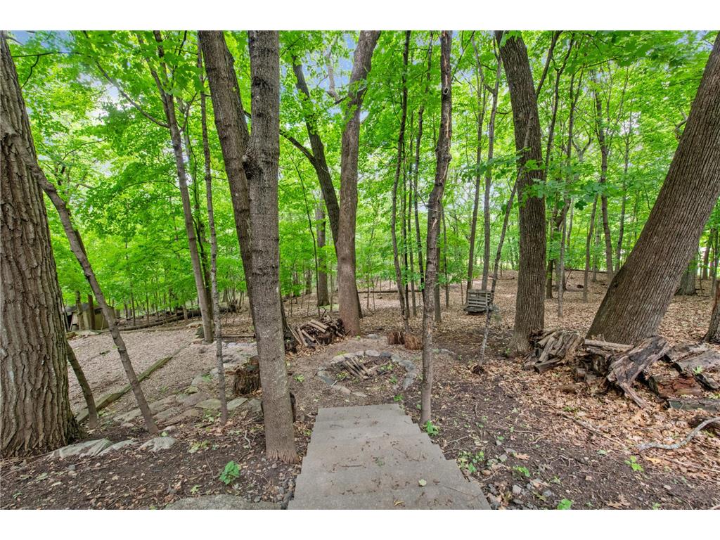 151 Choctaw Circle Chanhassen MN 55317 - Lotus Lake 7095761 image46