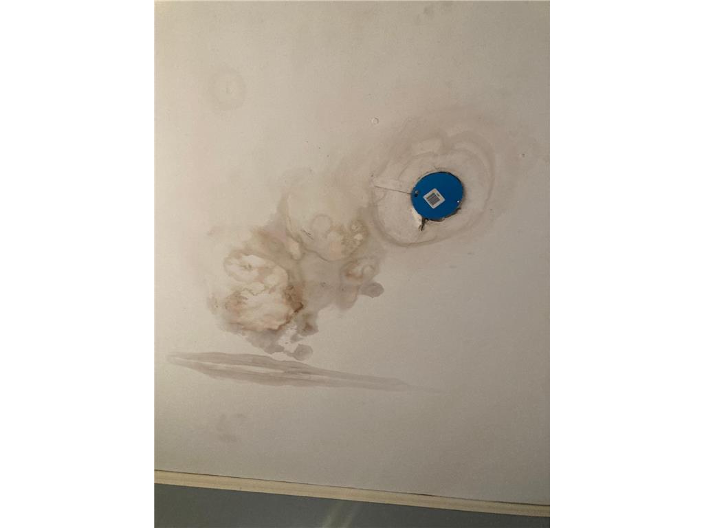 1510 44th Avenue N Minneapolis MN 55412 7049687 image11