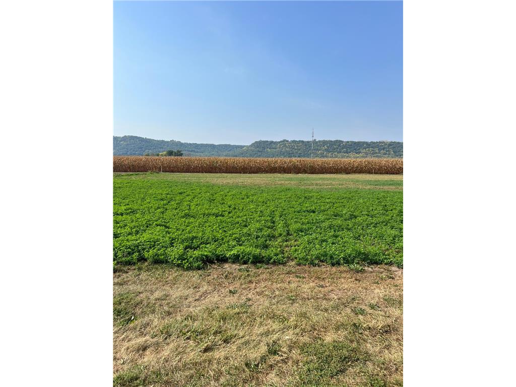 1510 River Drive S Wabasha MN 55981 6437869 image3