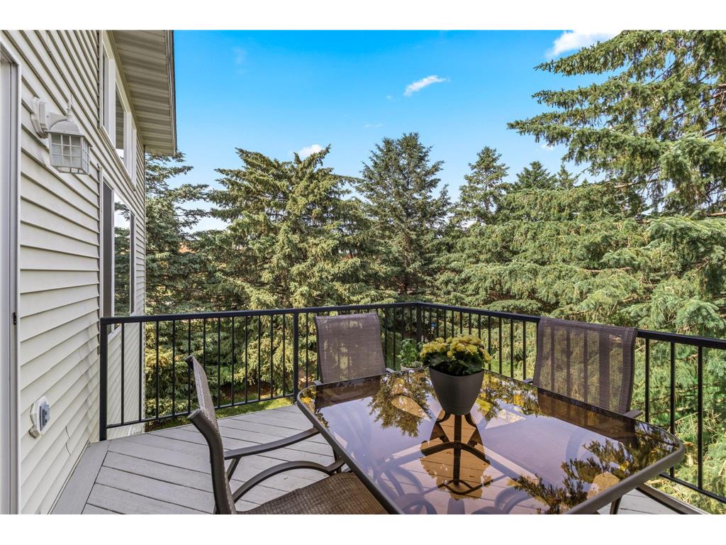 15104 Cimarron Way Rosemount MN 55068 7070329 image18