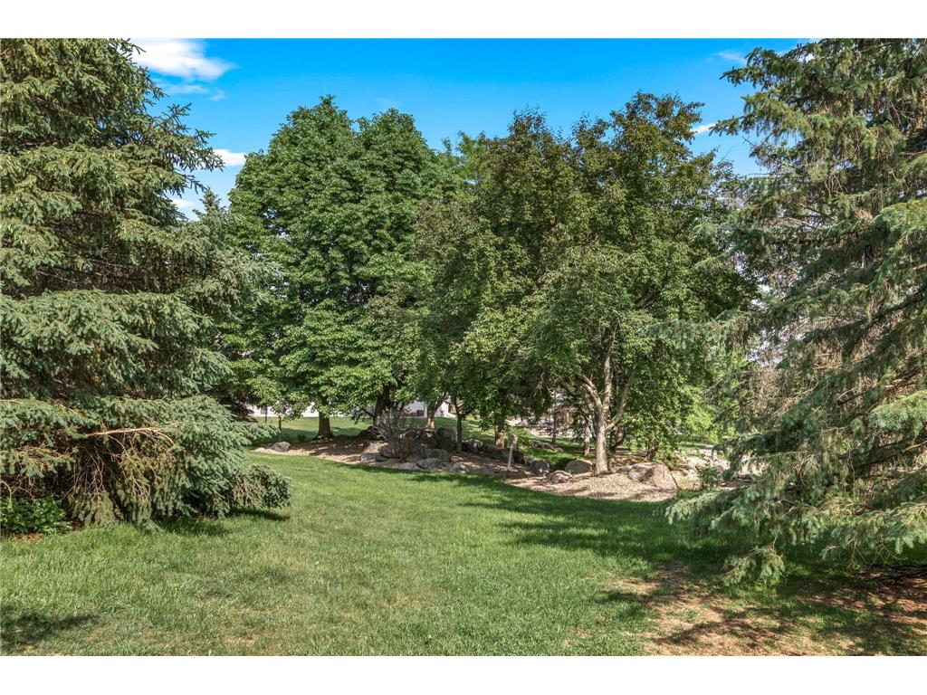 15104 Cimarron Way Rosemount MN 55068 7070329 image21