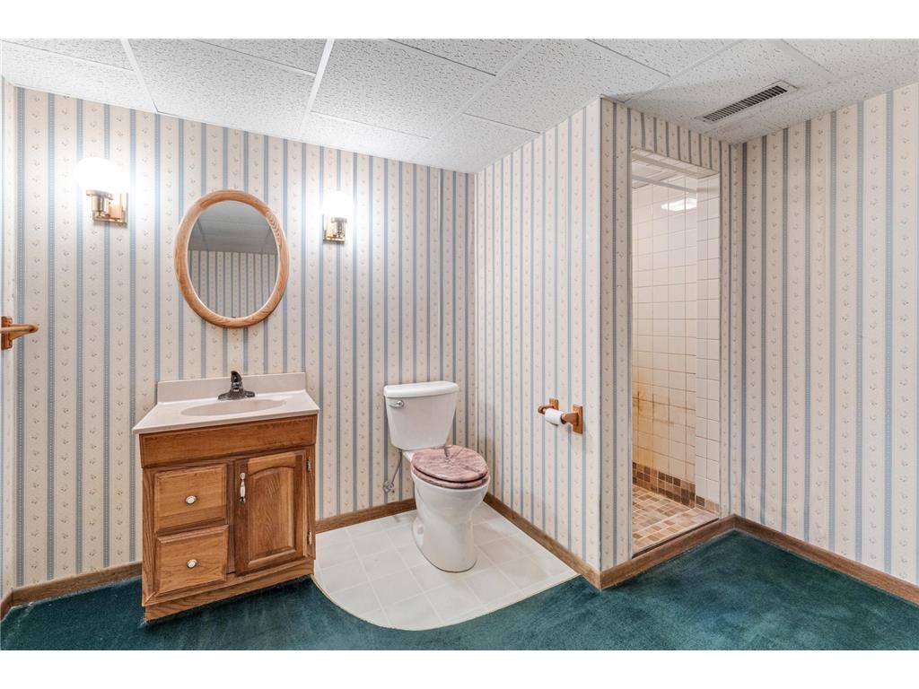 15107 County Road 25 Rollingstone MN 55969 7046973 image20