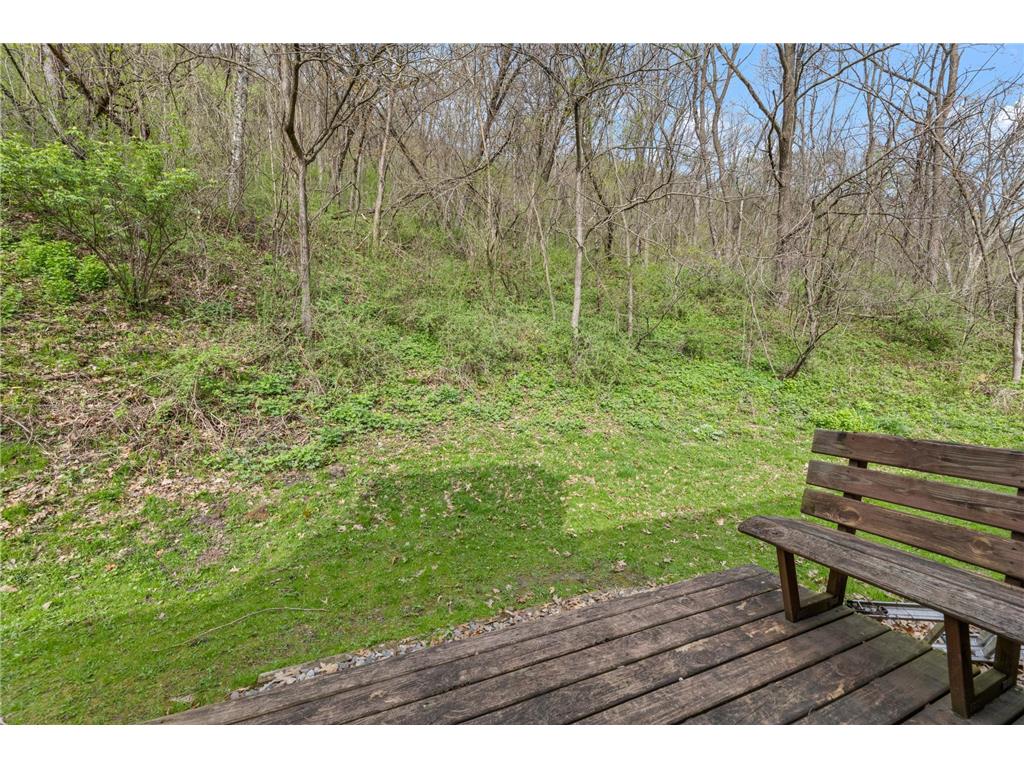 15107 County Road 25 Rollingstone MN 55969 7046973 image27