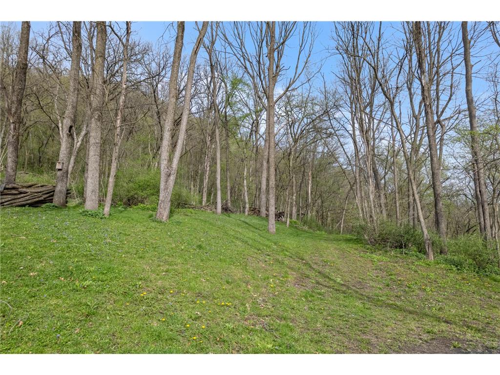 15107 County Road 25 Rollingstone MN 55969 7046973 image28