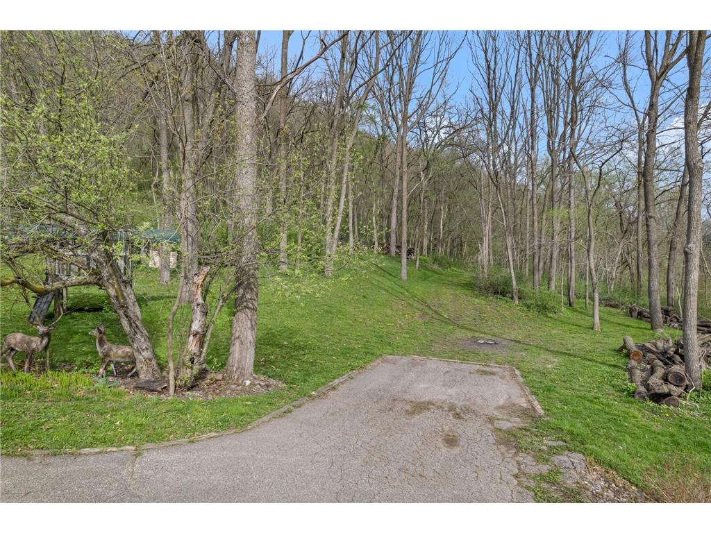 15107 County Road 25 Rollingstone MN 55969 7046973 image29