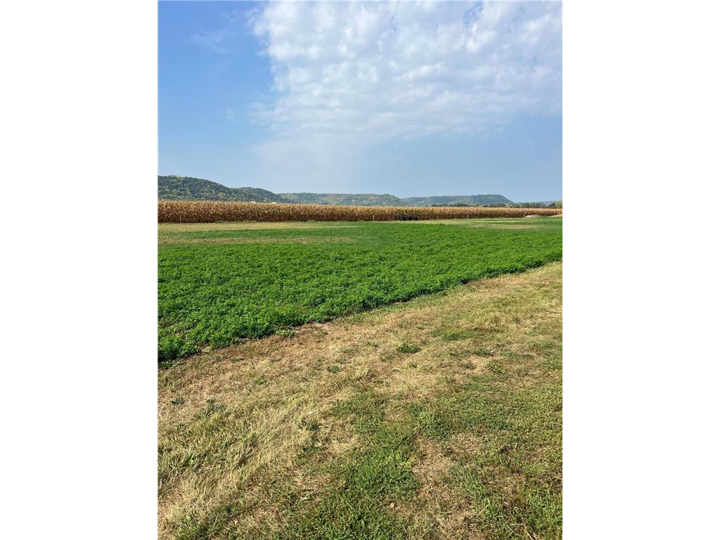 1512 River Drive S Wabasha MN 55981 6438058 image4