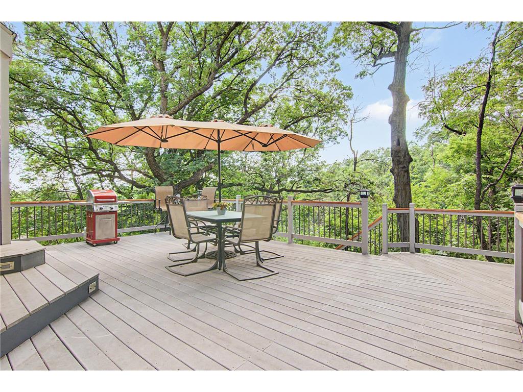 15120 Chestnut Circle Burnsville MN 55306 7088726 image42