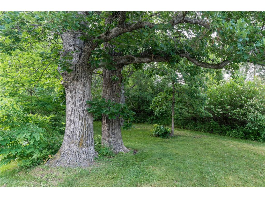 15126 Tumuli Road Tumuli Twp MN 56324 7056672 image13