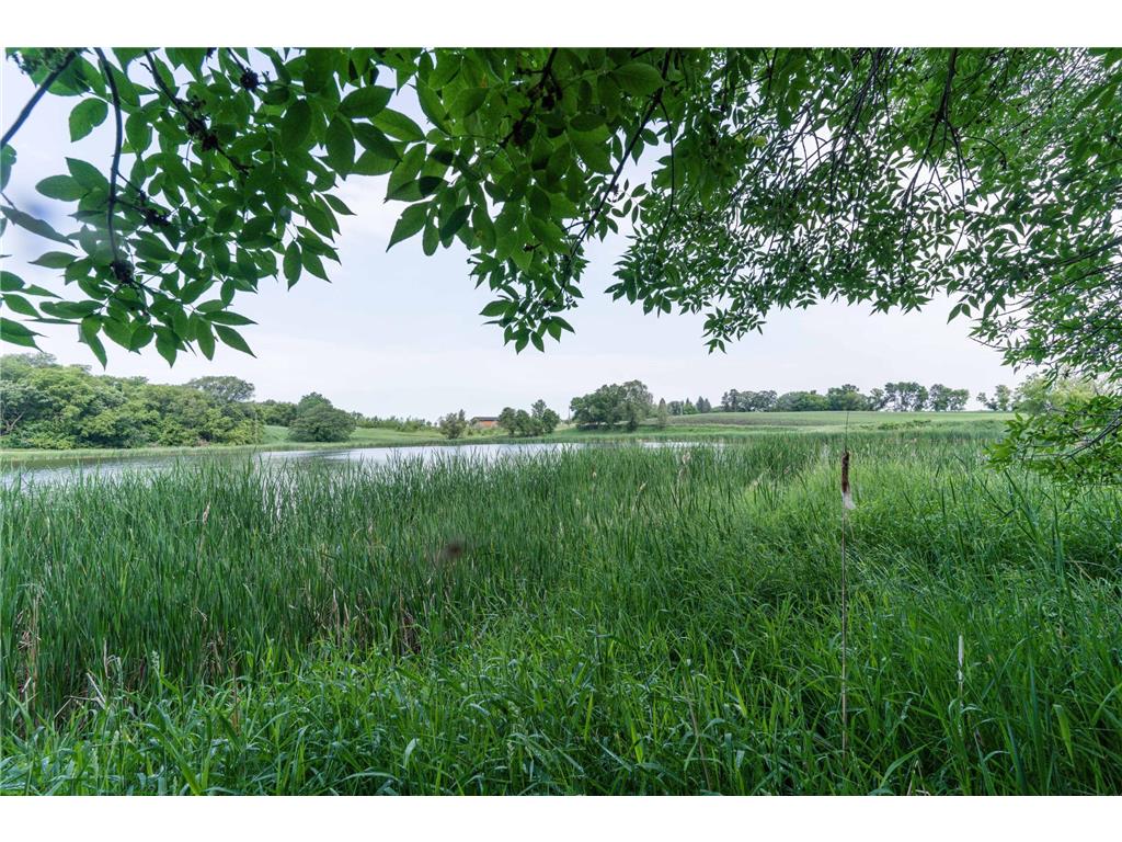 15126 Tumuli Road Tumuli Twp MN 56324 7056672 image14