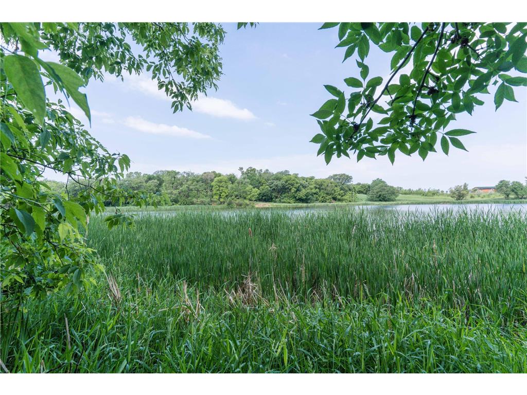 15126 Tumuli Road Tumuli Twp MN 56324 7056672 image15
