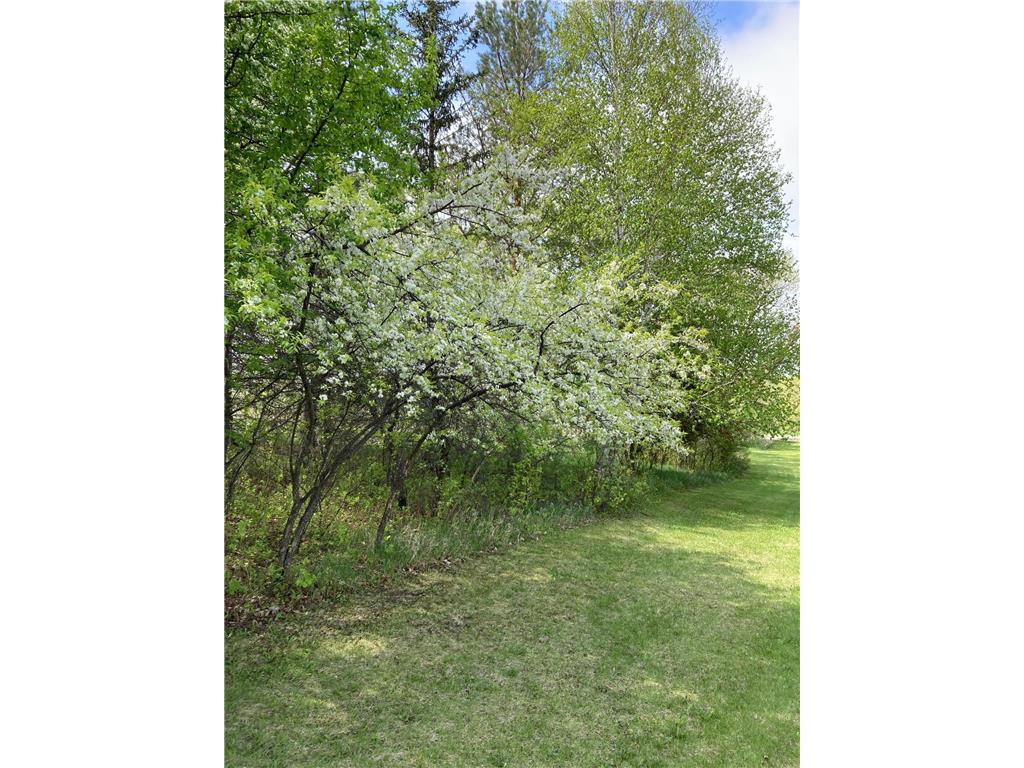 15126 Tumuli Road Tumuli Twp MN 56324 7056672 image82