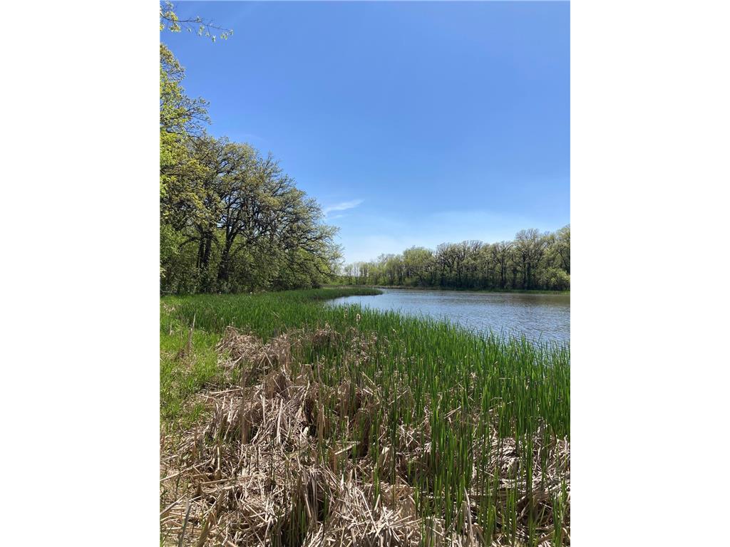 15126 Tumuli Road Tumuli Twp MN 56324 7056672 image86
