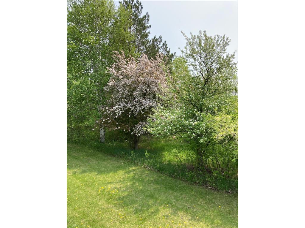 15126 Tumuli Road Tumuli Twp MN 56324 7056672 image90