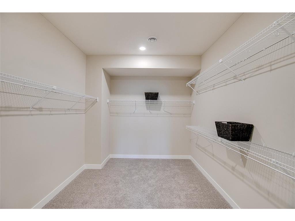 1513 Clover Preserve Way Chaska MN 55318 7065299 image15