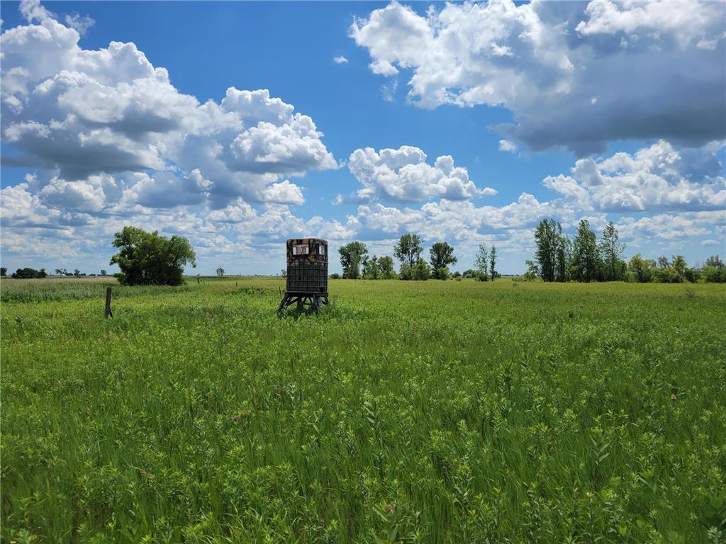 TBD hwy 52 Avenue SE, Barnesville, MN 56514 MLS 6254869 Edina Realty