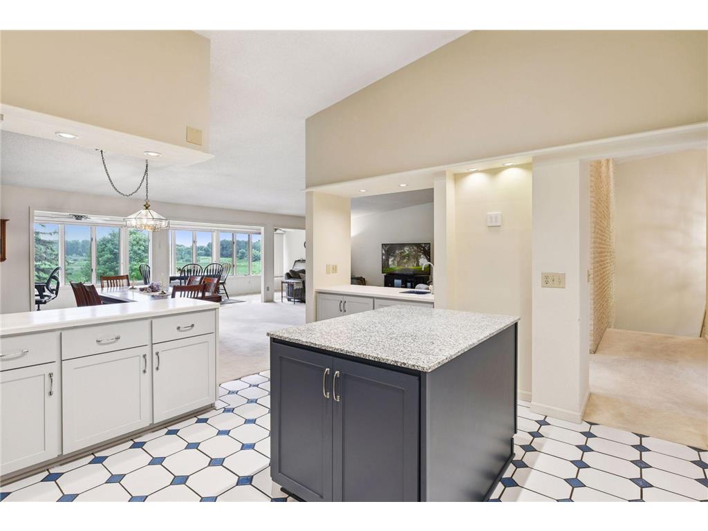 15145 38th Avenue N Plymouth MN 55446 6773621 image8