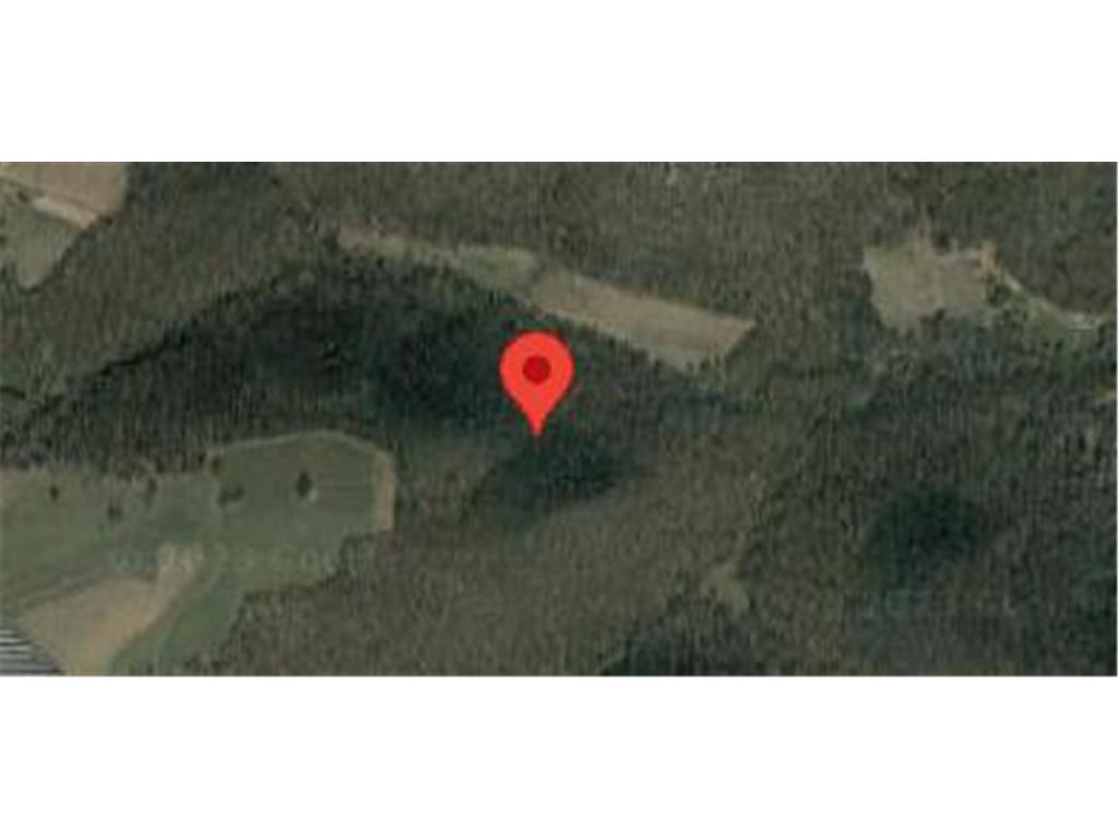 15145 Highway 61 Rollingstone Twp MN 55959 6347510 image1