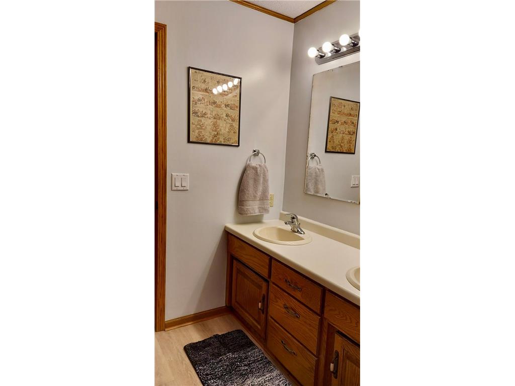 1515 Calvary Hill Lane Saint Cloud MN 56301 7046975 image41