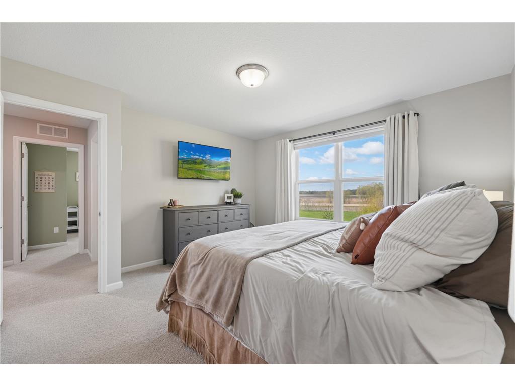 1515 Raymond Drive Waconia MN 55387 7064326 image19