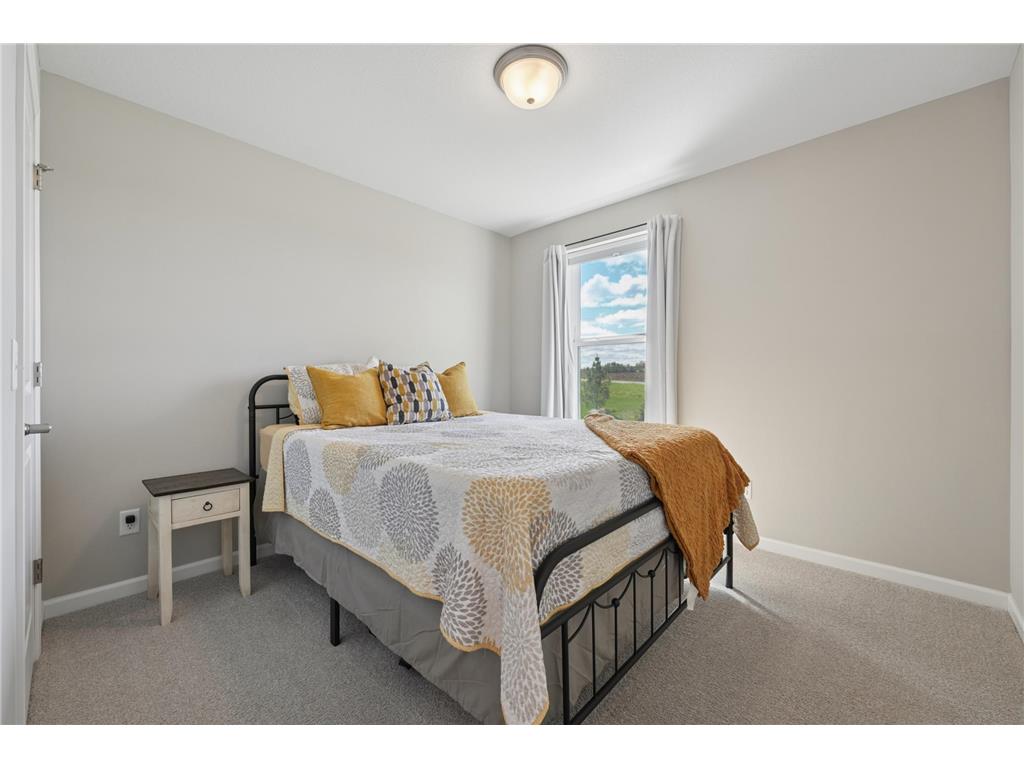 1515 Raymond Drive Waconia MN 55387 7064326 image22