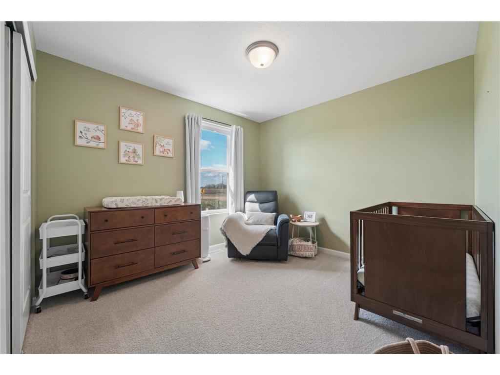 1515 Raymond Drive Waconia MN 55387 7064326 image23