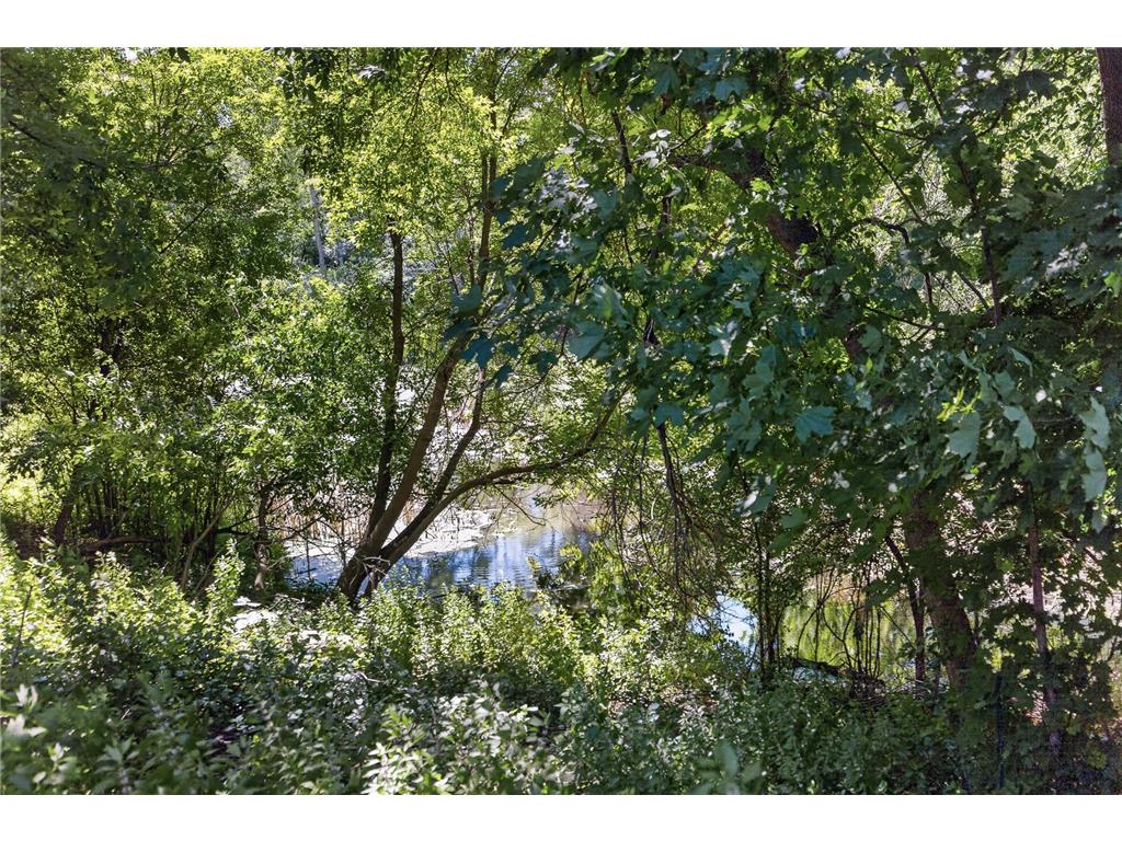 15155 Lesley Lane Eden Prairie MN 55346 7086172 image23