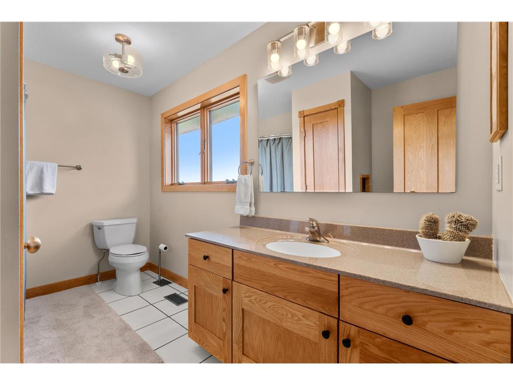 15157 County 11 Boulevard Roscoe Twp MN 55963 7103673 image37