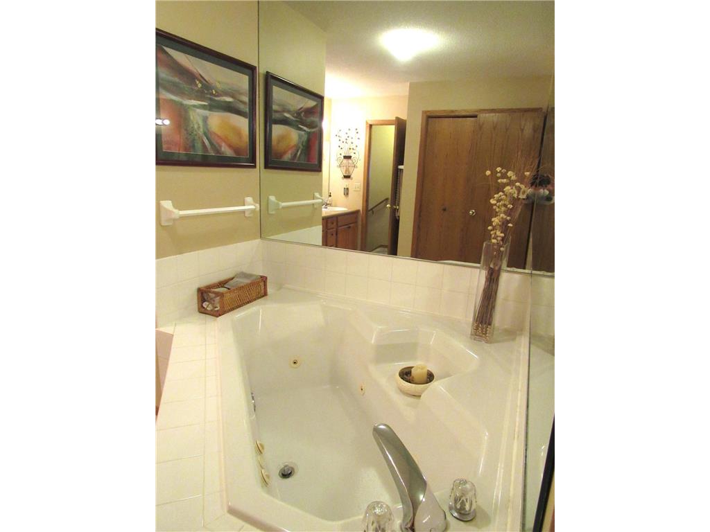 15157 Patricia Court Eden Prairie MN 55346 7004929 image13