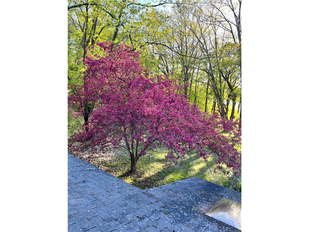 1516 Twin Springs Road Houlton WI 54082 - St Croix River 6822610 image52