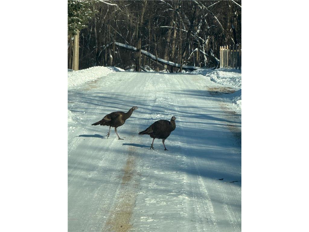 1516 Twin Springs Road Houlton WI 54082 - St Croix River 6822610 image55