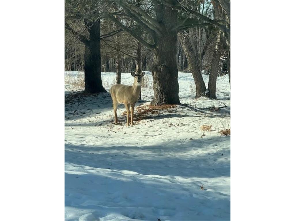 1516 Twin Springs Road Houlton WI 54082 - St Croix River 6822610 image56