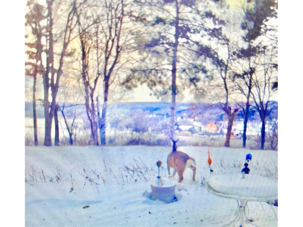 1516 Twin Springs Road Houlton WI 54082 - St Croix River 6822610 image57