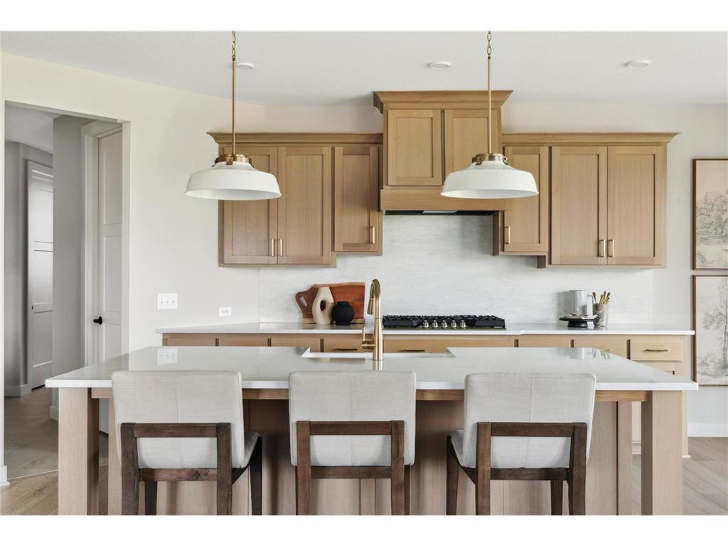 15161 110th Avenue N Dayton MN 55369 6802102 image25