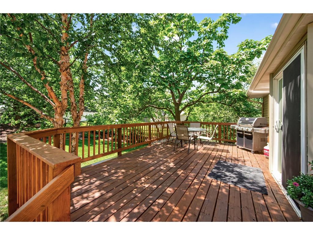15165 Dartmoor Court Rosemount MN 55068 7107449 image30
