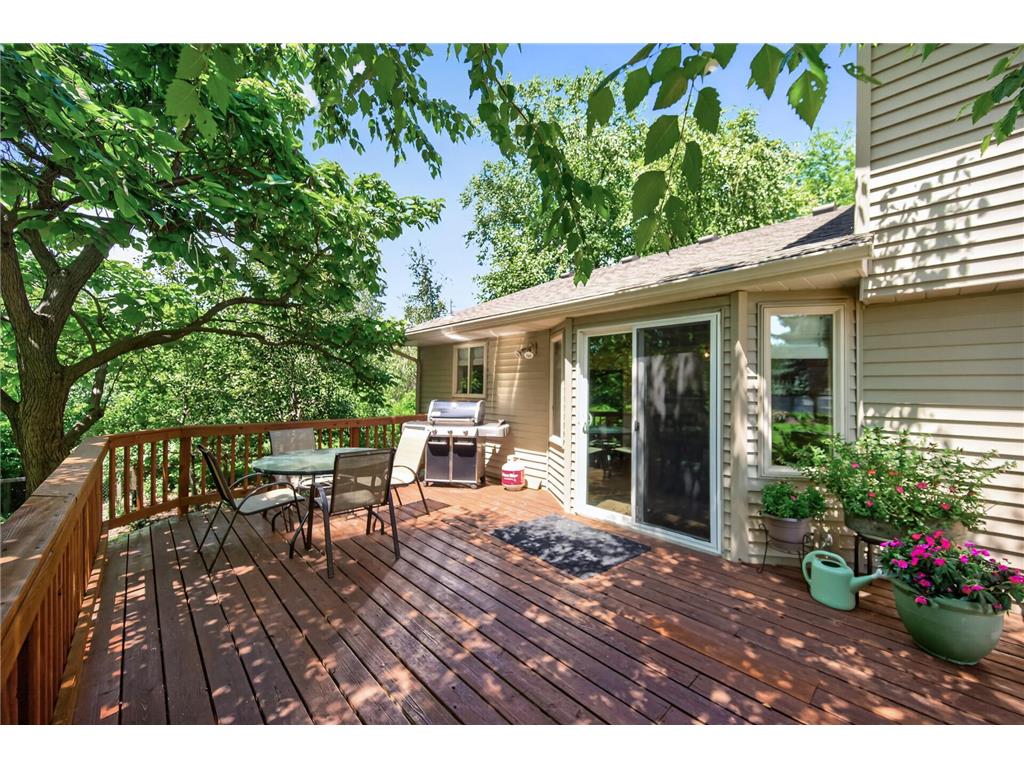 15165 Dartmoor Court Rosemount MN 55068 7107449 image31