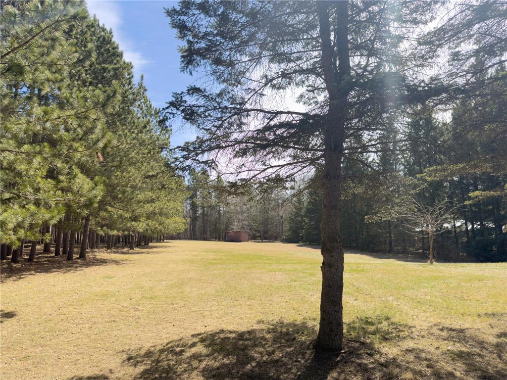 15169 Stocking Lake Road Blueberry Twp MN 56464 7059305 image23