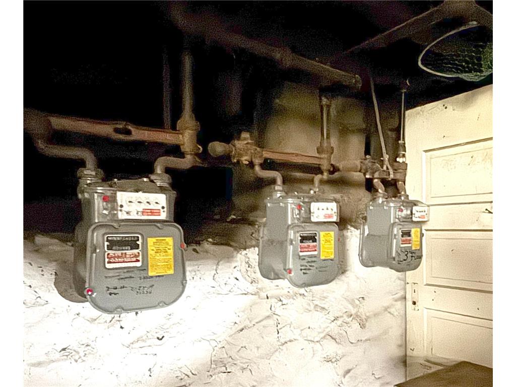 1517 11th Avenue S Minneapolis MN 55404 6726832 image12