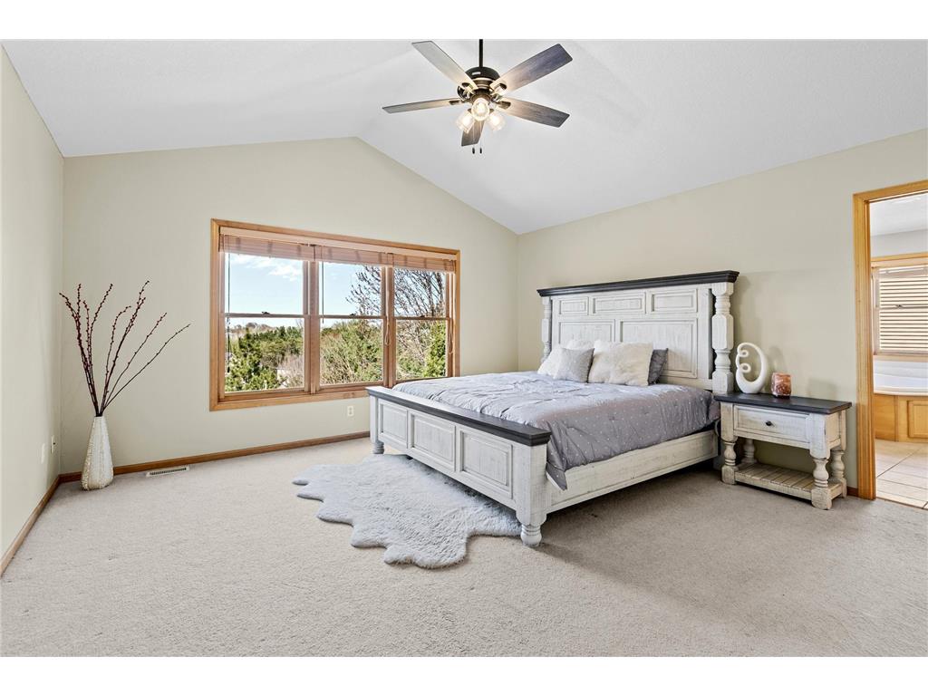 1517 Covington Lane Eagan MN 55122 7060789 image15