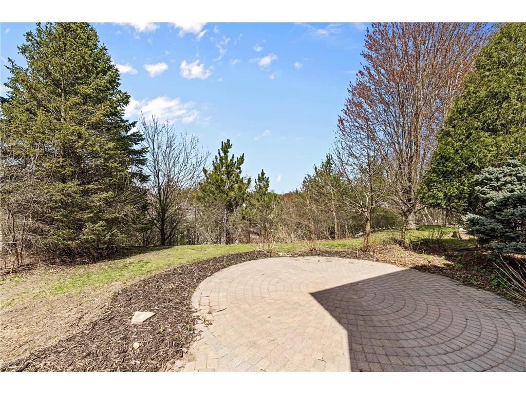 1517 Covington Lane Eagan MN 55122 7060789 image26